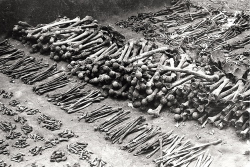 Posegregowane kości w czasie ekshumacji w Charkowie-Piatichatkach, lato 1991 r.